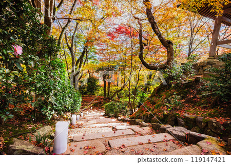 Autumn in Kyoto: Nison-in Temple 119147421