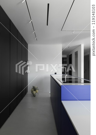 Contemporary Interior Design Featuring a Sleek Kitchen with Beautiful Neutral Tones Contemporary Interior Design Featuring a Sleek Kitchen with Beautiful Neutral Tones 119148103