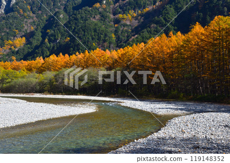 Autumn, Kamikochi, Azusa River, Japanese larch forest 119148352