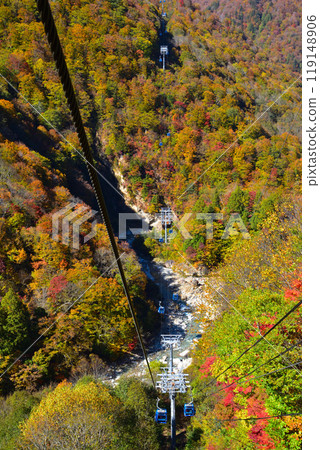 Autumn Naeba Dragon Dora 119148906
