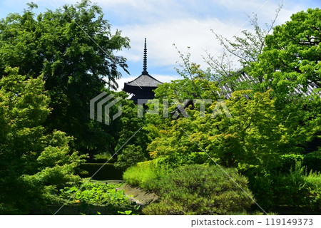 Fresh green and five-storied pagoda 119149373
