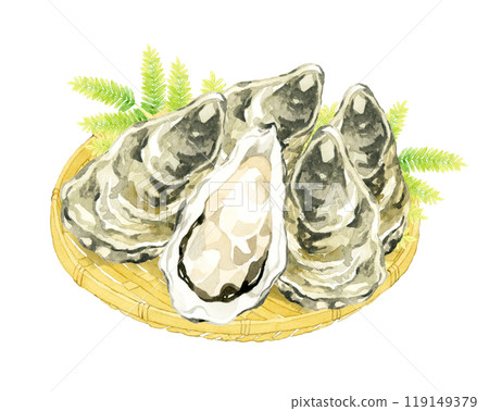 竹漏勺上的牡蠣手繪水彩插圖材料,用於烹飪和食物 竹漏勺上的牡蠣手繪水彩插圖材料,用於烹飪和食物 119149379