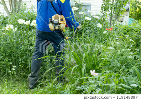 A male gardener mows the green grass of the lawn in the backyard with a gasoline mower. Trimmer for the care of a garden plot A male gardener mows the green grass of the lawn in the backyard with a gasoline mower. Trimmer for the care of a garden plot 119149897