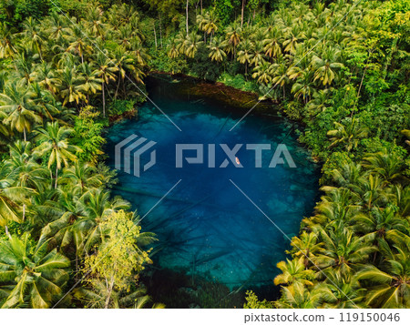 Transparent lake with crystal blue fresh water in jungle forest on Sulawesi, Indonesia. Aerial view Transparent lake with crystal blue fresh water in jungle forest on Sulawesi, Indonesia. Aerial view 119150046