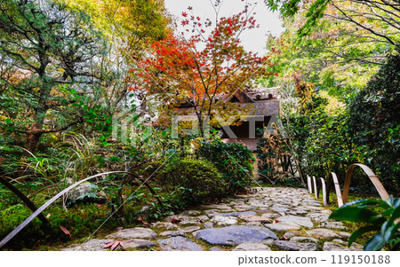 Autumn in Kyoto: Enrian Autumn in Kyoto: Enrian 119150188