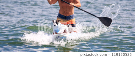 Man and his dog surfing on a paddleboard in the ocean 119150525