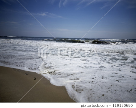 Looking down at a rough Atlantic Ocean waves at the waters edge of Long Island with birds on the sane and sea foam covering the water 119150690
