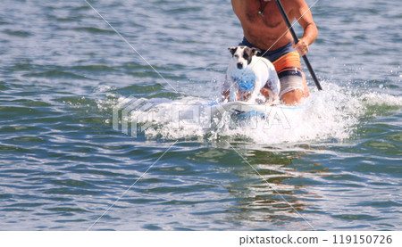 Man kneeling on a paddleboard surfing with his dog on the front 119150726