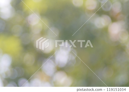 Bokeh leaf blur, blurred background photography Bokeh leaf blur, blurred background photography 119151034