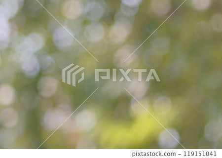 Bokeh leaf blur, blurred background photography Bokeh leaf blur, blurred background photography 119151041