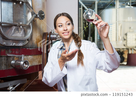 Professional checks the wine at factory in France Professional checks the wine at factory in France 119151243