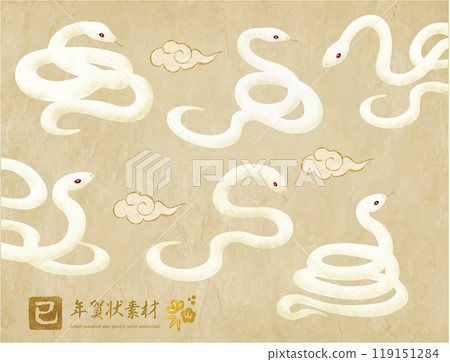 Hand-drawn white snake New Year's card material set 119151284