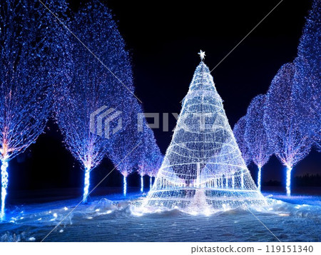 White Christmas Illumination 119151340