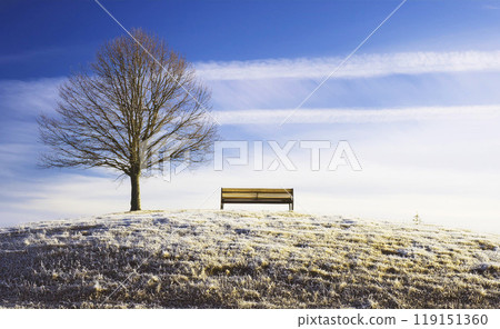 Four seasons (winter) with trees and benches on a hill Four seasons (winter) with trees and benches on a hill 119151360