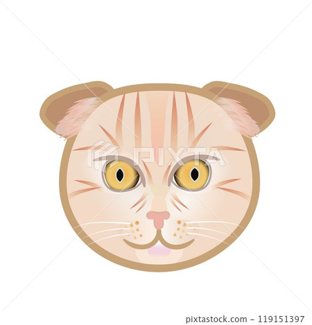 蘇格蘭折耳貓臉圖 119151397