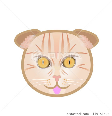 蘇格蘭折耳貓臉圖 蘇格蘭折耳貓臉圖 119151398