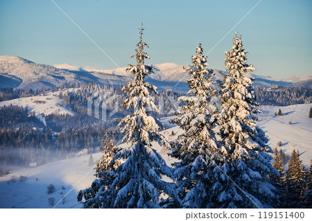 Picturesque winter landscape featuring snow-covered evergreen trees in foreground, with rolling hills, snow-capped mountains in background. Scene bathed in soft, golden sunlight under clear blue sky. Picturesque winter landscape featuring snow-covered evergreen trees in foreground, with rolling hills, snow-capped mountains in background. Scene bathed in soft, golden sunlight under clear blue sky. 119151400