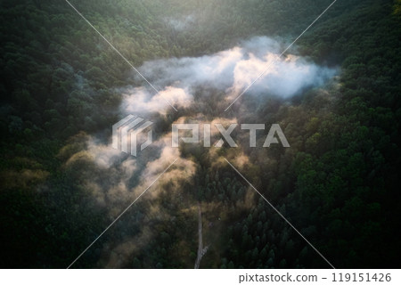 Serene aerial view of dense forest, with wisps of mist floating above treetops. Sunlight filters through, casting warm glow on mist and creating magical, dreamlike atmosphere in lush greenery. Serene aerial view of dense forest, with wisps of mist floating above treetops. Sunlight filters through, casting warm glow on mist and creating magical, dreamlike atmosphere in lush greenery. 119151426
