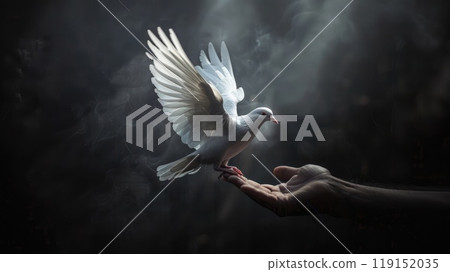 A hand holding a white dove, White Dove Release, Concept of peace and hope and freedom 119152035