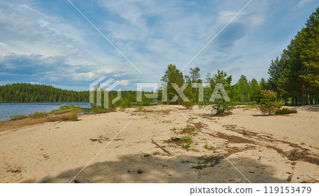 Sandy Shore Lake Haikola 119153479