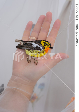 tulle fabric embroidery of flowers and birds on a veil On a thin fabric a woman embroiders straightening beautiful handwork on a mannequin wedding dress with bright decorations tulle fabric embroidery of flowers and birds on a veil On a thin fabric a woman embroiders straightening beautiful handwork on a mannequin wedding dress with bright decorations 119153631