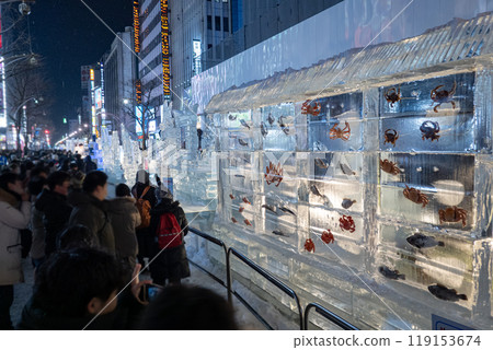 Sapporo Snow Festival, Susukino venue night view, Sapporo, Hokkaido 119153674