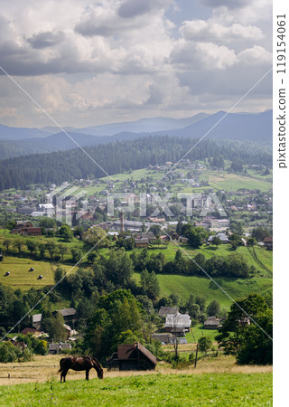 Vorokhta village scene with grazing horse on green meadow against a backdrop of traditional houses 119154061