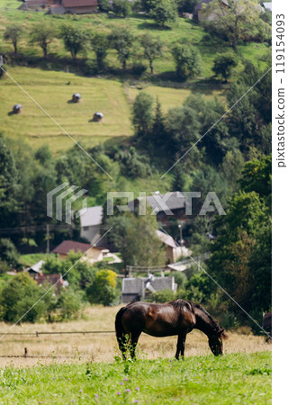 Vorokhta village scene with grazing horse on green meadow against a backdrop of traditional houses 119154093