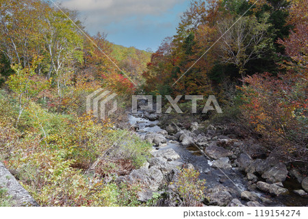 Autumn leaves and mountain streams Autumn leaves and mountain streams 119154274