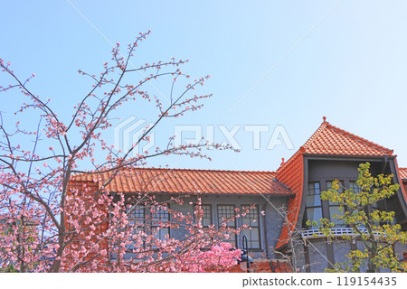 A view of the Futabakan Cultural Path and cherry blossoms in Nagoya, Aichi Prefecture A view of the Futabakan Cultural Path and cherry blossoms in Nagoya, Aichi Prefecture 119154435