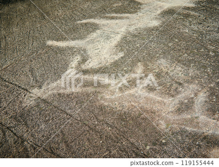 Petroglyphs in Karelia, Belomorsk district, Russia. 119155444