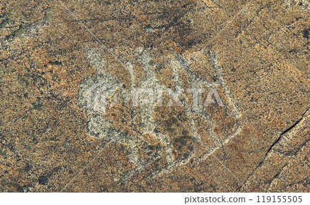 Petroglyphs in Karelia, Belomorsk district, Russia. 119155505