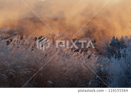 Winter mountain scenery (Chausuyama, Toyone Village, Aichi Prefecture) Winter mountain scenery (Chausuyama, Toyone Village, Aichi Prefecture) 119155564