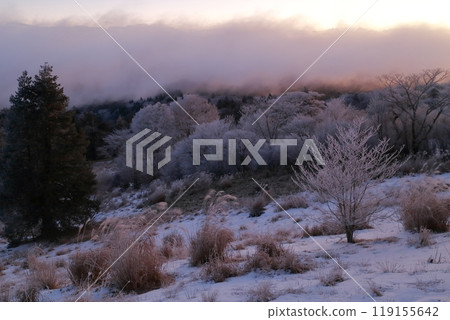 Winter mountain scenery (Chausuyama, Toyone Village, Aichi Prefecture) Winter mountain scenery (Chausuyama, Toyone Village, Aichi Prefecture) 119155642