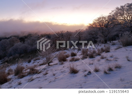 Winter mountain scenery (Chausuyama, Toyone Village, Aichi Prefecture) 119155643