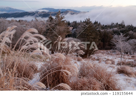 Winter mountain scenery (Chausuyama, Toyone Village, Aichi Prefecture) 119155644