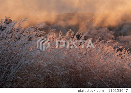 Winter mountain scenery (Chausuyama, Toyone Village, Aichi Prefecture) 119155647