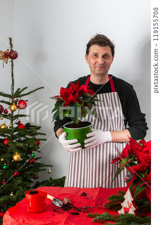 A man transplants Poinsettia flowers into a new pot 119155708