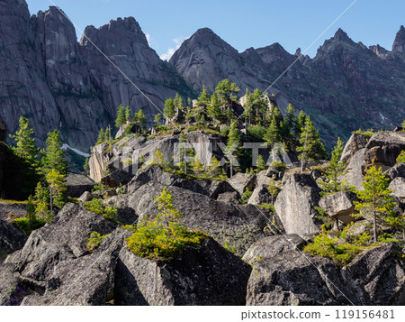 Huge granite boulders. Wild nature forest bright background. 119156481