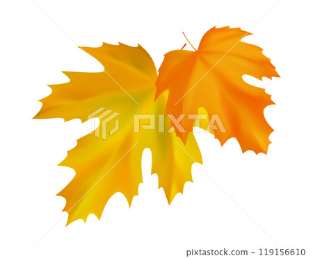 Realistic autumn maple leaves composition. Yellow, orange flying fall vibrant leaves. Vector illustration 119156610