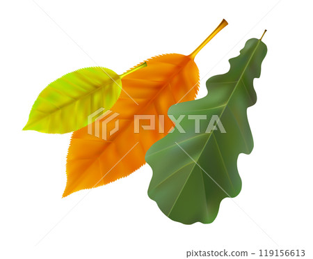 Composition of realistic autumn leaves. Yellow, green, orange leaves flying fall leaves swirl in the wind. Vector illustration 119156613