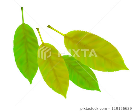 Composition of realistic vibrant autumn leaves. Yellow, green flying fall leaves. Vector illustration Composition of realistic vibrant autumn leaves. Yellow, green flying fall leaves. Vector illustration 119156629