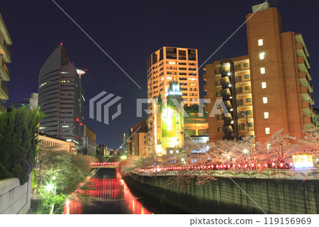 Megurogawa Sakura Festival Evening scenery Megurogawa Sakura Festival Evening scenery 119156969