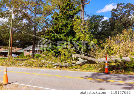 During stormy hurricane, strong winds uprooted tree at ground, causing damages to everything in vicinity During stormy hurricane, strong winds uprooted tree at ground, causing damages to everything in vicinity 119157622