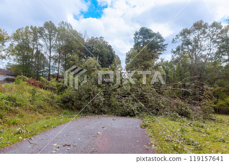 Road was damaged by trees uprooted by strong winds during storm hurricane 119157641