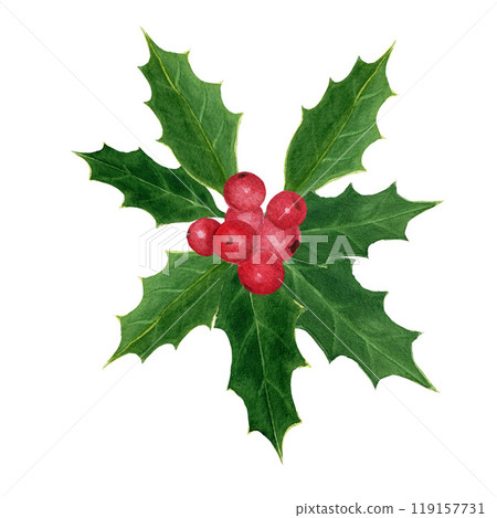 A holly branch with red holly berries. Hand drawn watercolor isolated element on a white background for greeting cards, postcards, design, patterns 119157731
