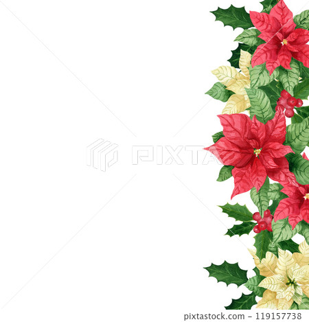 Vertical composition with holly and poinsettia. Hand drawn watercolor isolated element on a white background for greeting cards, postcards, patterns 119157738