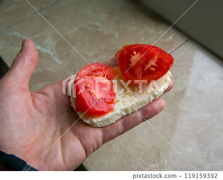 Quick snack in Georgia young cheese (Imerensky)  - piece of cheese and 2 oieces of tomato 119159392