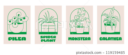 Set of posters house plants: monstera, pile a, spider plant, calathea. Outline plant in pot in retro style. Set of posters house plants: monstera, pile a, spider plant, calathea. Outline plant in pot in retro style. 119159485
