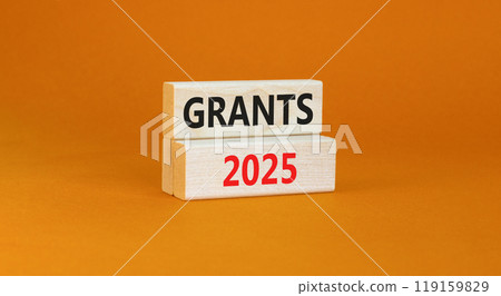 Planning grants 2025 new year symbol. Concept words Grants 2025 on beautiful wooden blocks. Beautiful orange background. Business grants 2025 new year concept. Copy space. 119159829